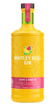 Kopparberg Mixed Fruit Gin 70cl 879 1024x1024